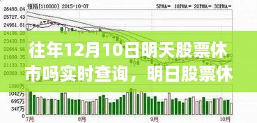 往年12月10日股票休市与否实时查询，与自然美景相遇的心灵之旅