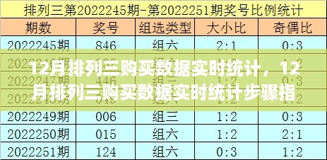 12月排列三购买数据实时统计全攻略，入门到进阶步骤指南