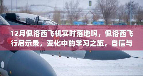 佩洛西飞行轨迹启示录，自信之旅与变化中的学习成就