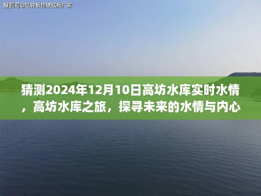 高坊水库之旅，探寻未来水情与内心宁静的交融点（预测2024年12月10日实时水情）