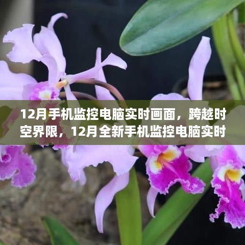 跨越时空界限，12月手机监控电脑实时画面科技产品引领视觉盛宴新时代