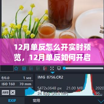 深入解析与观点阐述，如何在十二月使用单反相机开启实时预览功能