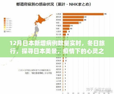 疫情下的冬日日本之旅，实时新增病例与心灵探寻的美景之旅