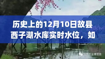 如何查询历史上12月10日故县西子湖水库实时水位，初学者与进阶用户指南全攻略