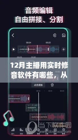 12月热门实时修音软件使用指南，从零开始学习实时修音软件的选择与应用