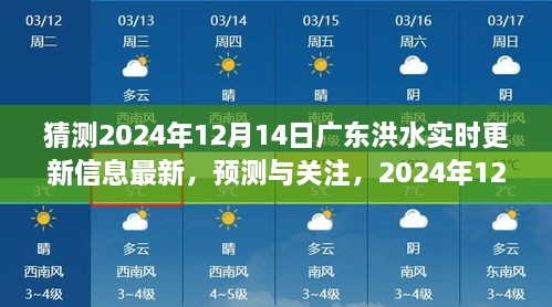 2024年12月14日广东洪水最新实时更新信息及预测关注