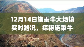 施秉牛大场镇深度探秘，巷弄风情与实时路况指南（12月14日路况更新）