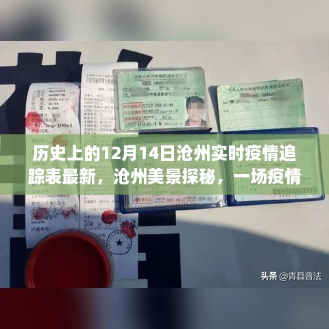 沧州疫情最新追踪，历史日期下的美景探秘与内心宁静之旅