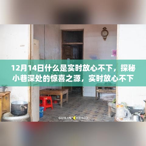 探秘小巷深处的惊喜之源，实时放心不下的独特风味小店（12月14日）