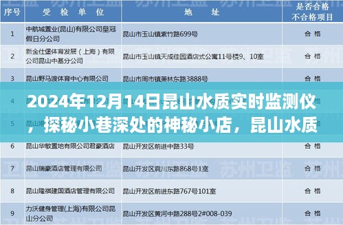 昆山水质实时监测仪，探秘小巷神秘小店，奇妙之旅揭秘水质秘密