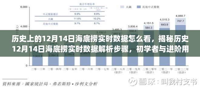 揭秘历史海底捞实时数据解析，初学者与进阶用户全方位指南——以12月14日为例