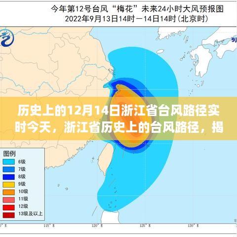 揭秘浙江台风风云，历史上的十二月十四日台风路径追踪与揭秘