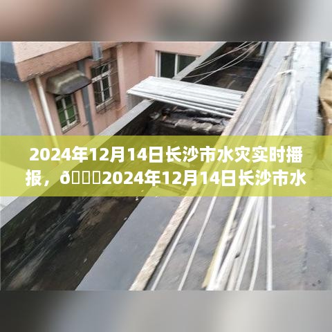 2024年12月14日长沙市水灾实时播报，城市洪水状况及应对措施