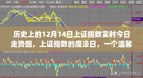 温馨日常背后的魔法日，上证指数的12月14日实时走势图回顾