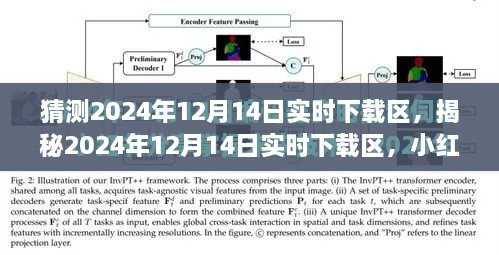 小红书揭秘，未来科技潮流尽在掌握——2024年12月14日实时下载区前瞻