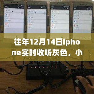 小红书独家揭秘，历年12月14日iPhone实时收听灰色背后的真相揭秘