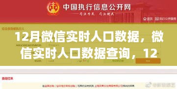 微信实时人口数据查询指南，12月数据查询步骤详解（适用于初学者与进阶用户）