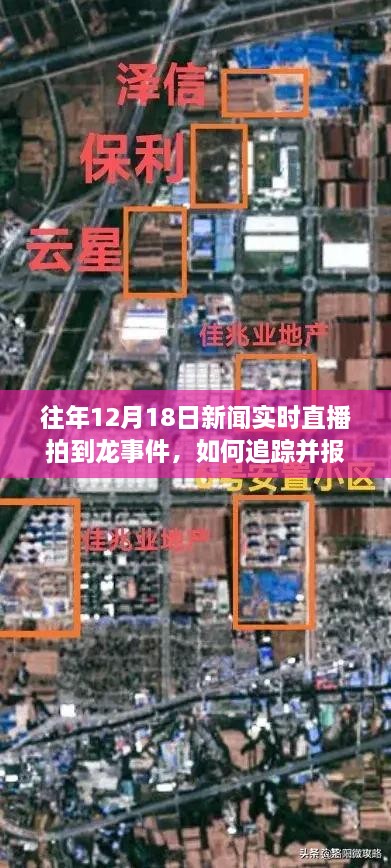 往年12月18日新闻直播中的神秘龙事件，追踪与报道步骤指南