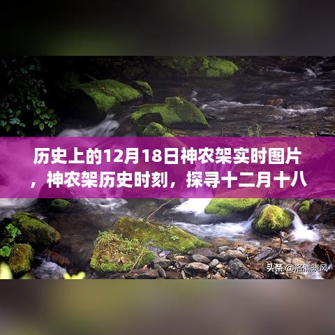 神农架历史时刻，探寻十二月十八日实时图片背后的故事与历史时刻记录