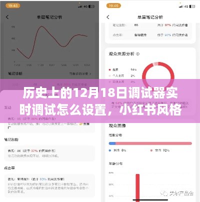 小红书风格教程，手把手教你设置调试器实时调试，轻松掌握技术秘籍在12月18日