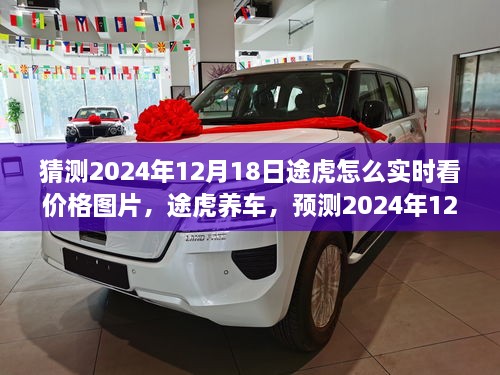 途虎养车2024年12月18日价格实时查看新篇章，图片洞察与预测