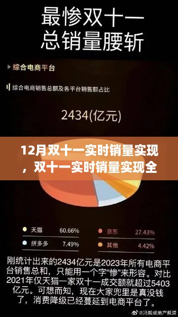 双十一实时销量全攻略，从零起步到巅峰实战指南（初学者与进阶用户必备）