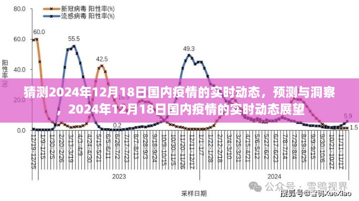 建议，2024年12月18日国内疫情的实时动态预测与洞察展望