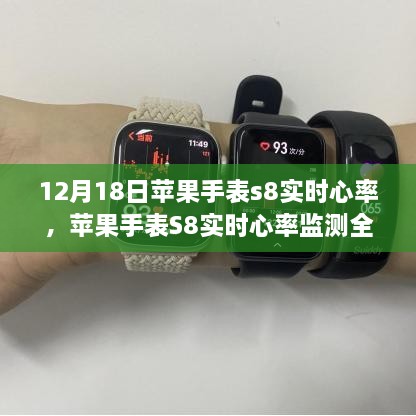 苹果手表S8实时心率监测全面指南，从入门到进阶的实用指南（12月18日更新）