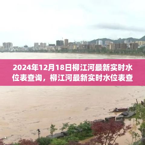 柳江河最新实时水位表查询，深度分析与观点阐述