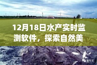 12月18日水产实时监测软件，开启探索自然美景与宁静海洋秘境之旅