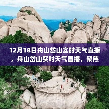 12月18日舟山岱山实时天气直播，聚焦气象变化，探寻冬日风情直播秀