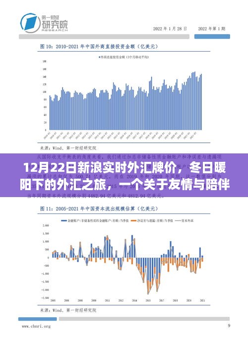 冬日暖阳下的外汇之旅，新浪实时外汇牌价与友情相伴的温馨故事