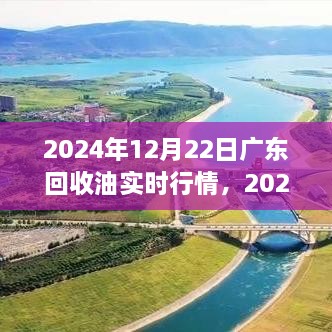 2024年广东回收油市场深度解析，实时行情、走势预测及油价未来动态