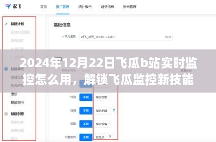 飞瓜监控实战指南，探索心灵之旅，解锁B站实时监控新技能（2024年12月22日版）