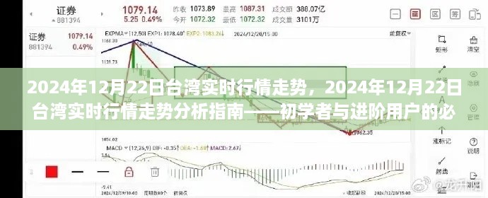 2024年12月22日台湾实时行情走势详解与攻略，初学者与进阶用户必备指南