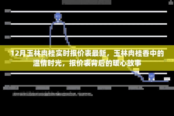 玉林肉桂最新实时报价表，温情时光与暖心故事回顾