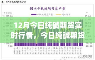 今日纯碱期货实时行情深度解析与介绍