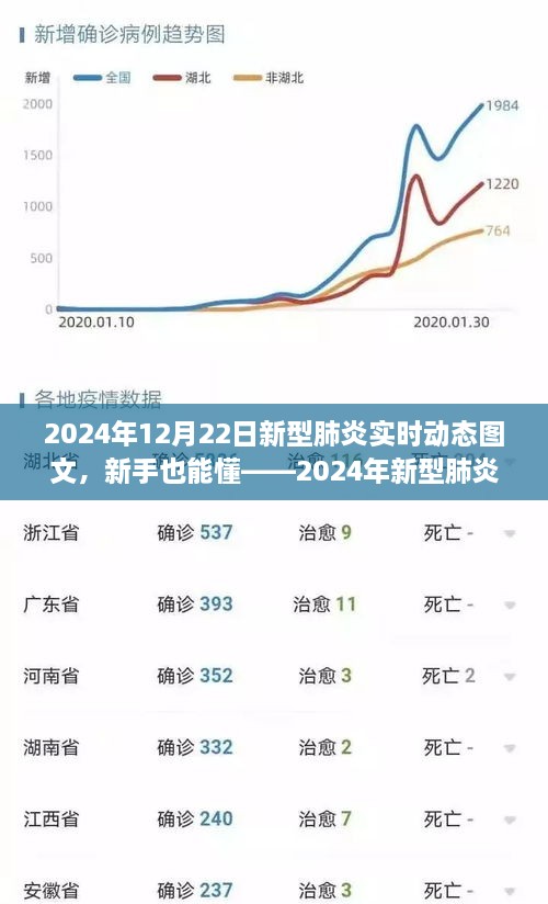 初学者版，2024年新型肺炎实时动态图文制作指南，轻松掌握动态更新信息