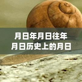 月日风云变幻，历史与实时路径下的惠来台风探索