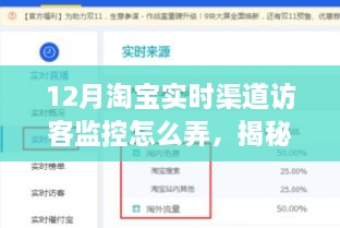 揭秘，如何实施淘宝实时渠道访客监控，提升流量转化策略实战指南