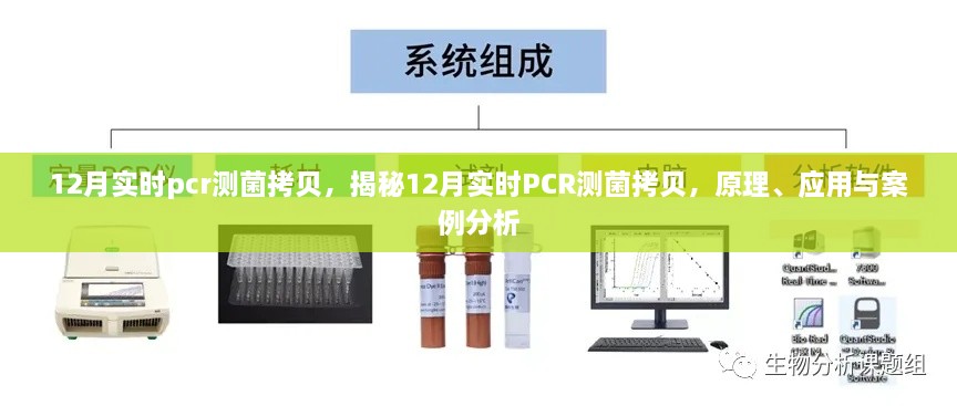 揭秘，实时PCR测菌拷贝——原理、应用与案例分析（12月版）