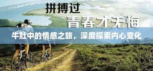 牛肚中的情感之旅，深度探索内心变化