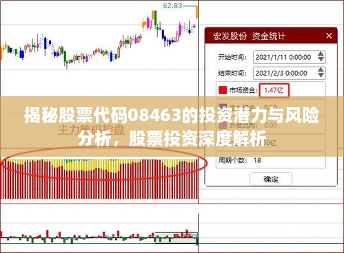 揭秘股票代码08463的投资潜力与风险分析，股票投资深度解析