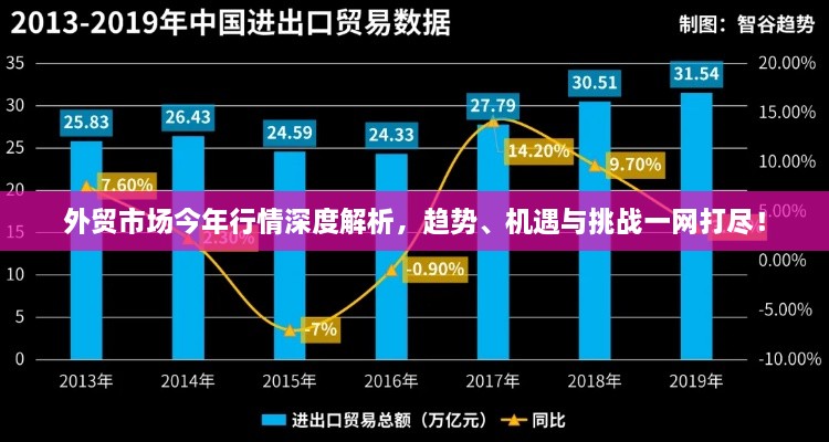 外贸市场今年行情深度解析，趋势、机遇与挑战一网打尽！