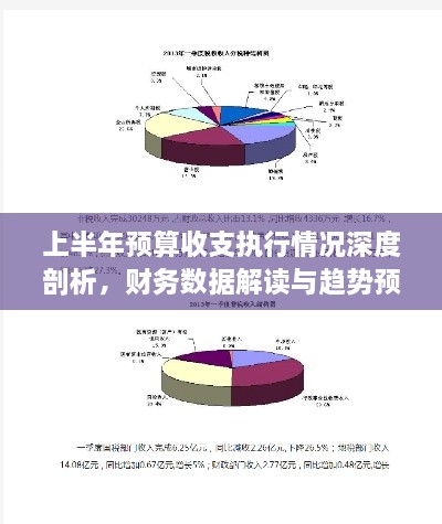 上半年预算收支执行情况深度剖析，财务数据解读与趋势预测