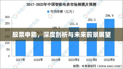 股票申能，深度剖析与未来前景展望