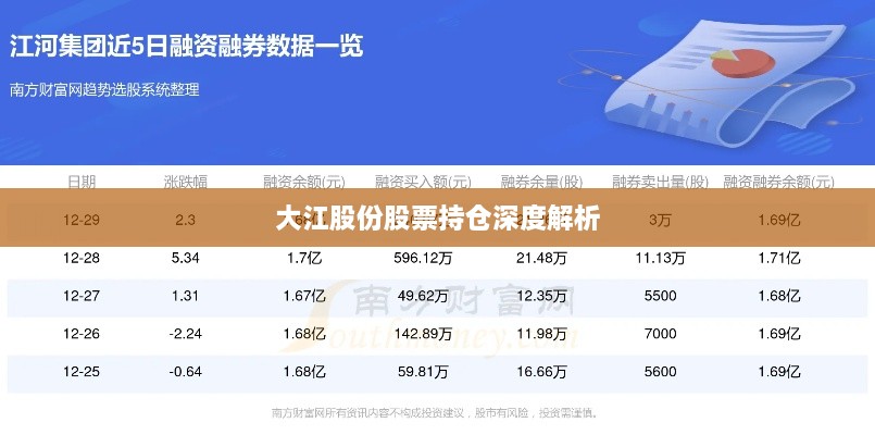 大江股份股票持仓深度解析