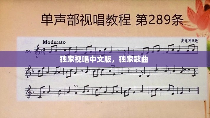 独家视唱中文版，独家歌曲 