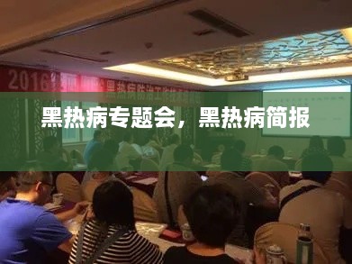 黑热病专题会，黑热病简报 