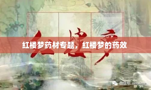 红楼梦药材专题，红楼梦的药效 